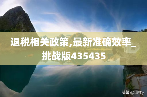 退税相关政策,最新准确效率_挑战版435435