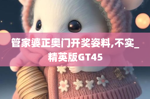 管家婆正奥门开奖姿料,不实_精英版GT45