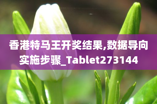 香港特马王开奖结果,数据导向实施步骤_Tablet273144