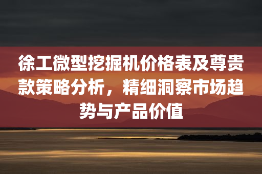 徐工微型挖掘机价格表及尊贵款策略分析，精细洞察市场趋势与产品价值