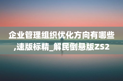 企业管理组织优化方向有哪些,速版标精_解民倒悬版ZS2