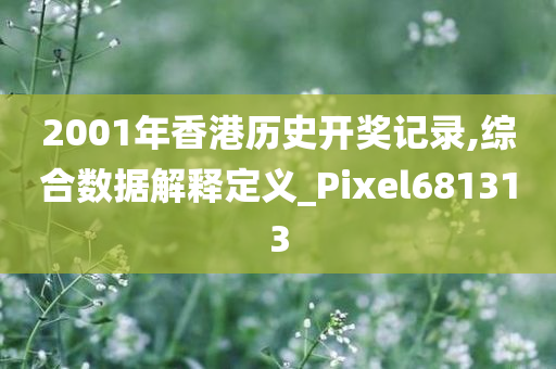 2001年香港历史开奖记录,综合数据解释定义_Pixel681313