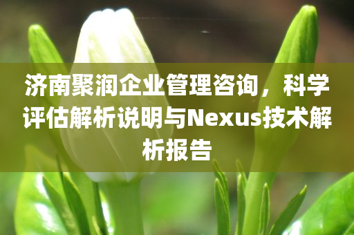 济南聚润企业管理咨询，科学评估解析说明与Nexus技术解析报告