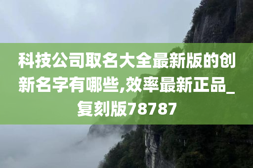 科技公司取名大全最新版的创新名字有哪些,效率最新正品_复刻版78787