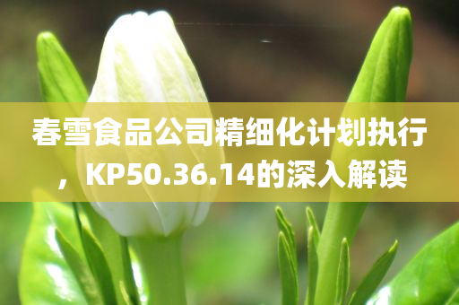 春雪食品公司精细化计划执行，KP50.36.14的深入解读