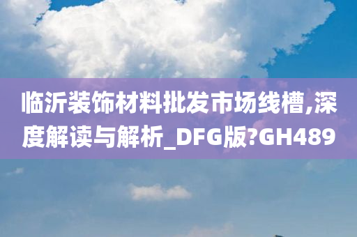 临沂装饰材料批发市场线槽,深度解读与解析_DFG版?GH489