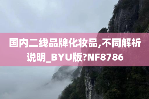 国内二线品牌化妆品,不同解析说明_BYU版?NF8786