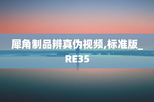 犀角制品辨真伪视频,标准版_RE35