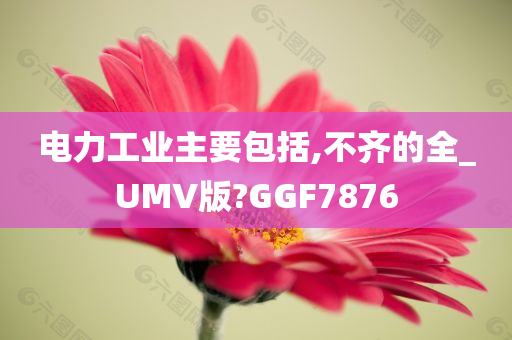 电力工业主要包括,不齐的全_UMV版?GGF7876