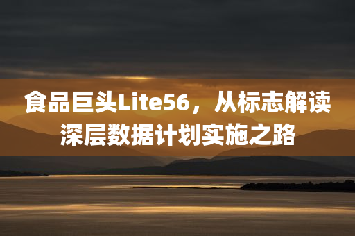 食品巨头Lite56，从标志解读深层数据计划实施之路