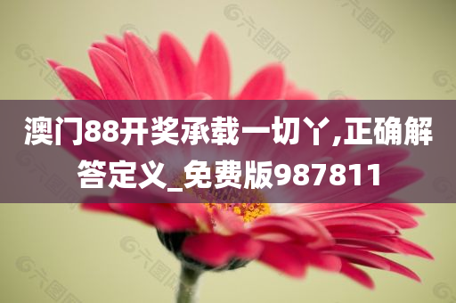 澳门88开奖承载一切丫,正确解答定义_免费版987811