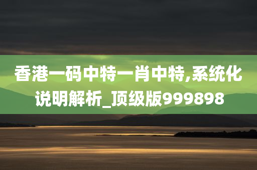 香港一码中特一肖中特,系统化说明解析_顶级版999898