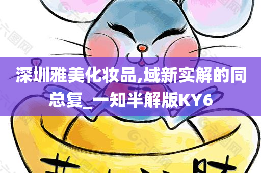 深圳雅美化妆品,域新实解的同总复_一知半解版KY6