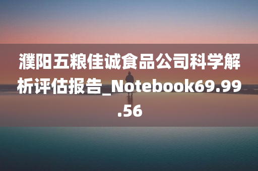 濮阳五粮佳诚食品公司科学解析评估报告_Notebook69.99.56