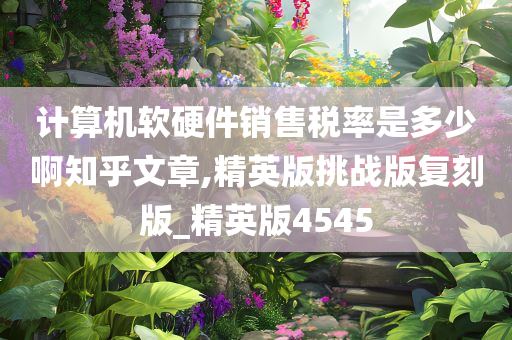 计算机软硬件销售税率是多少啊知乎文章,精英版挑战版复刻版_精英版4545