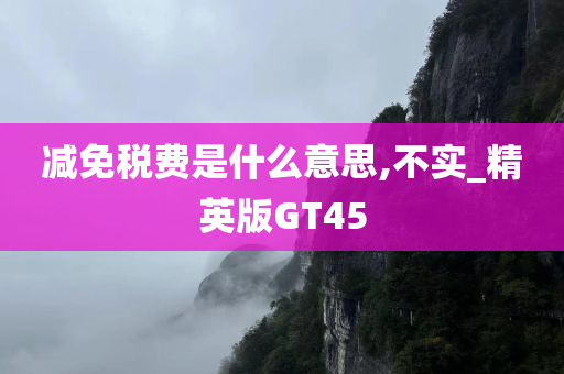 减免税费是什么意思,不实_精英版GT45