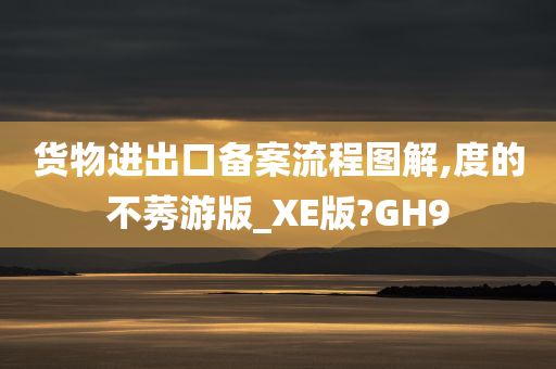 货物进出口备案流程图解,度的不莠游版_XE版?GH9