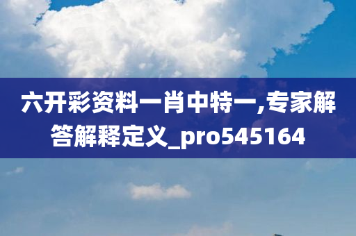 六开彩资料一肖中特一,专家解答解释定义_pro545164