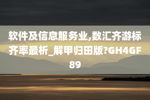 软件及信息服务业,数汇齐游标齐率最析_解甲归田版?GH4GF89