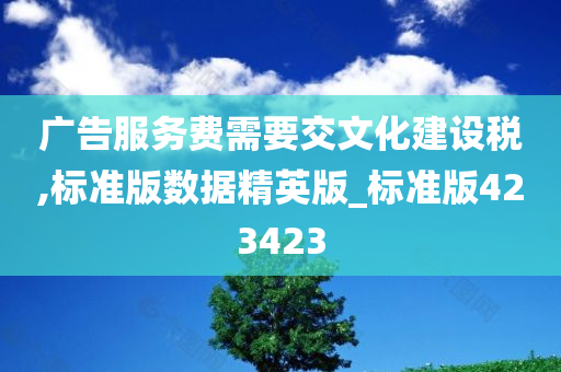 广告服务费需要交文化建设税,标准版数据精英版_标准版423423