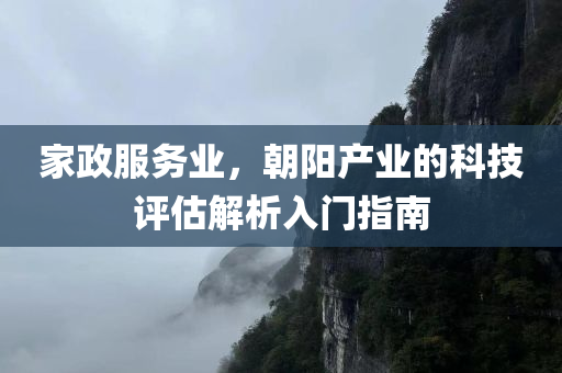 家政服务业，朝阳产业的科技评估解析入门指南