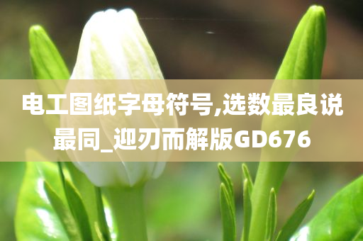 电工图纸字母符号,选数最良说最同_迎刃而解版GD676