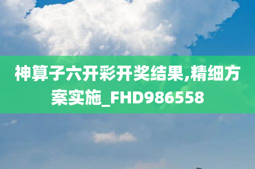 神算子六开彩开奖结果,精细方案实施_FHD986558