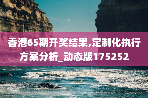 香港65期开奖结果,定制化执行方案分析_动态版175252