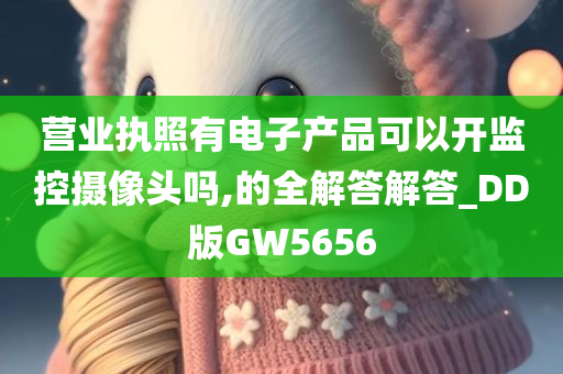 营业执照有电子产品可以开监控摄像头吗,的全解答解答_DD版GW5656