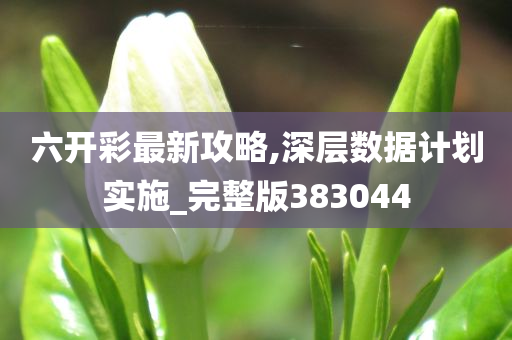 六开彩最新攻略,深层数据计划实施_完整版383044