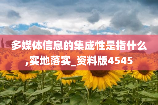 多媒体信息的集成性是指什么,实地落实_资料版4545