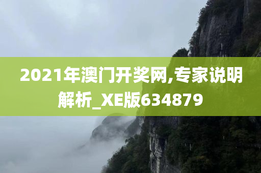 2021年澳门开奖网,专家说明解析_XE版634879