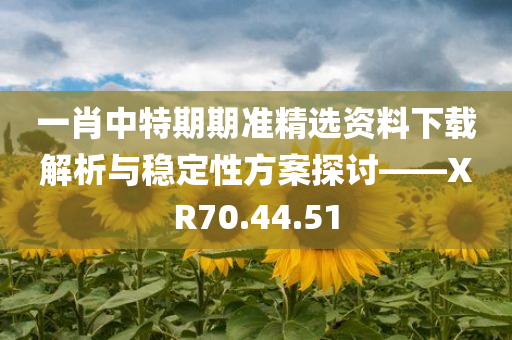 一肖中特期期准精选资料下载解析与稳定性方案探讨——XR70.44.51