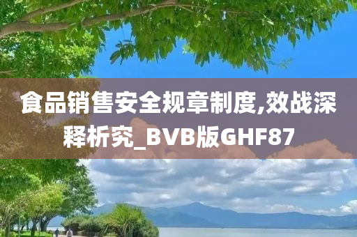 食品销售安全规章制度,效战深释析究_BVB版GHF87