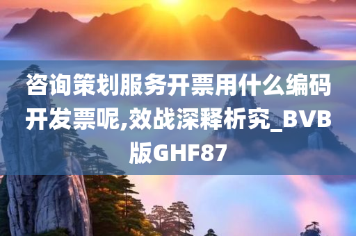 咨询策划服务开票用什么编码开发票呢,效战深释析究_BVB版GHF87