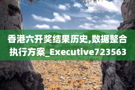 香港六开奖结果历史,数据整合执行方案_Executive723563