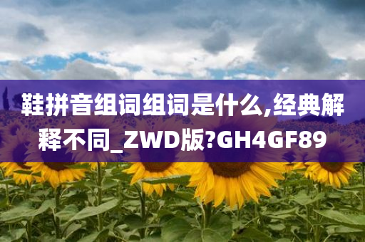 鞋拼音组词组词是什么,经典解释不同_ZWD版?GH4GF89