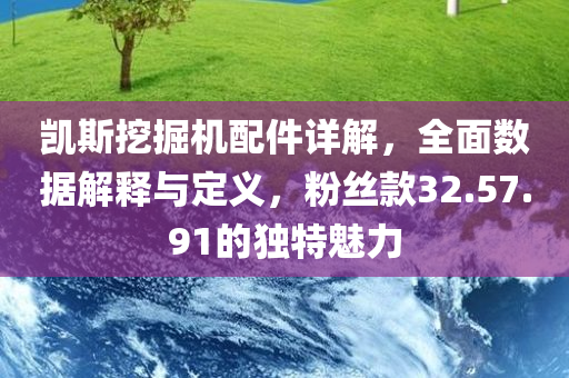 凯斯挖掘机配件详解，全面数据解释与定义，粉丝款32.57.91的独特魅力