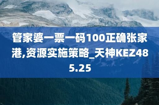 管家婆一票一码100正确张家港,资源实施策略_天神KEZ485.25