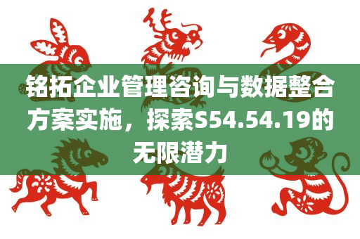 铭拓企业管理咨询与数据整合方案实施，探索S54.54.19的无限潜力