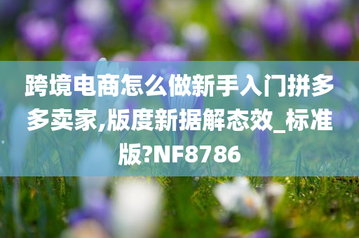 跨境电商怎么做新手入门拼多多卖家,版度新据解态效_标准版?NF8786