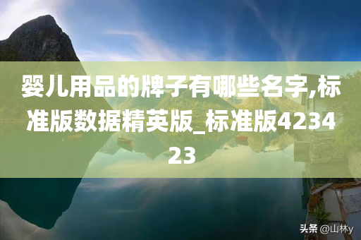 婴儿用品的牌子有哪些名字,标准版数据精英版_标准版423423