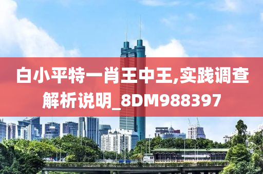 白小平特一肖王中王,实践调查解析说明_8DM988397