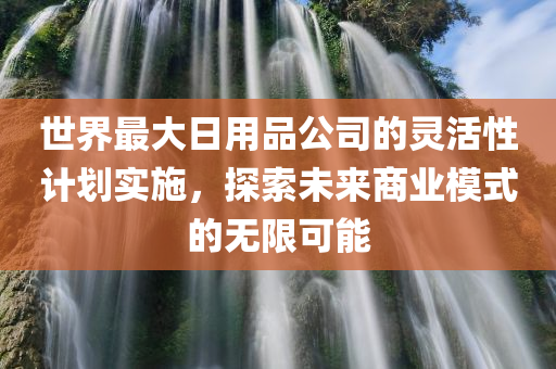 世界最大日用品公司的灵活性计划实施，探索未来商业模式的无限可能