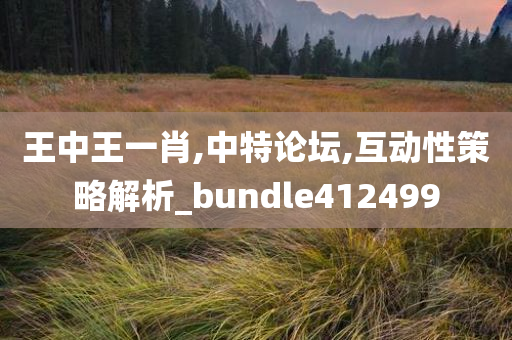 王中王一肖,中特论坛,互动性策略解析_bundle412499