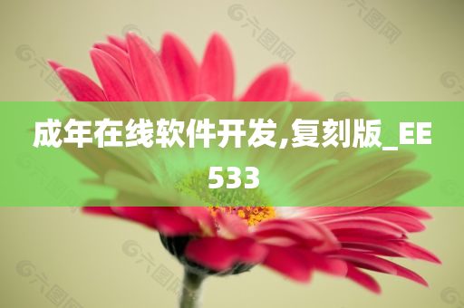 成年在线软件开发,复刻版_EE533