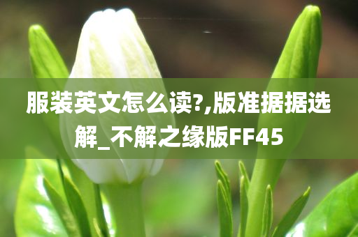 服装英文怎么读?,版准据据选解_不解之缘版FF45