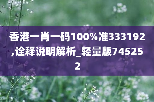 香港一肖一码100%准333192,诠释说明解析_轻量版745252