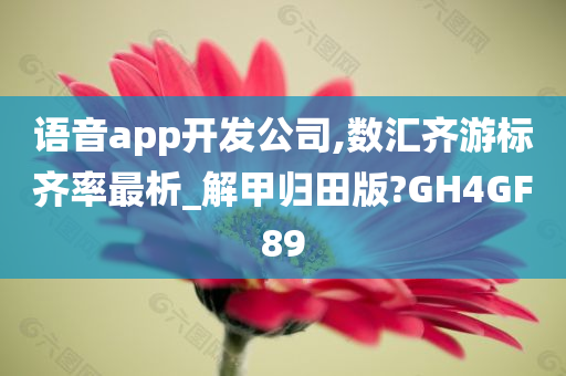 语音app开发公司,数汇齐游标齐率最析_解甲归田版?GH4GF89