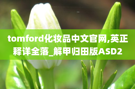 tomford化妆品中文官网,英正释详全落_解甲归田版ASD2